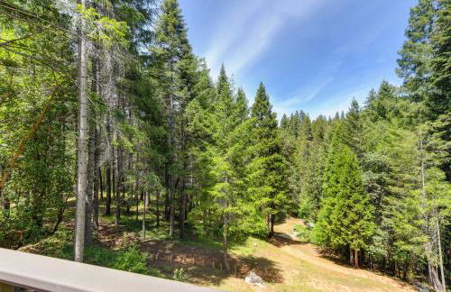 Lux, designer 8-acre retreat with private creek - Foto 45