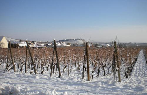 Gite Le Mandlé - Photo 46