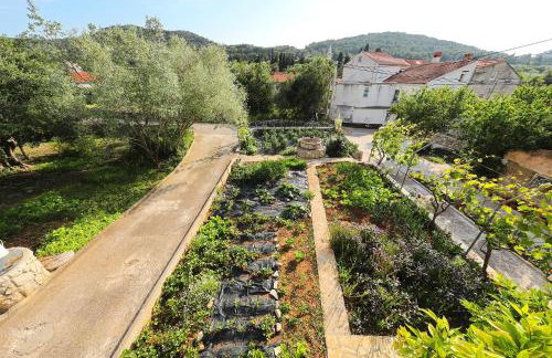 Senkini Dvori - Photo 65