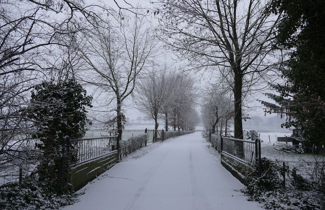 Apartment Near the Belgian Border - Photo 71