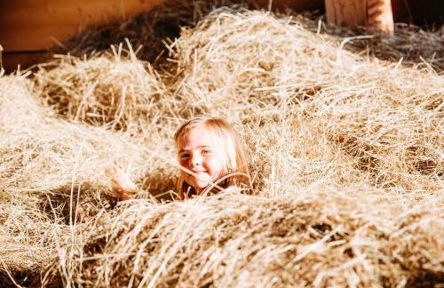 Ferienwohnung Liselotte - Foto 29
