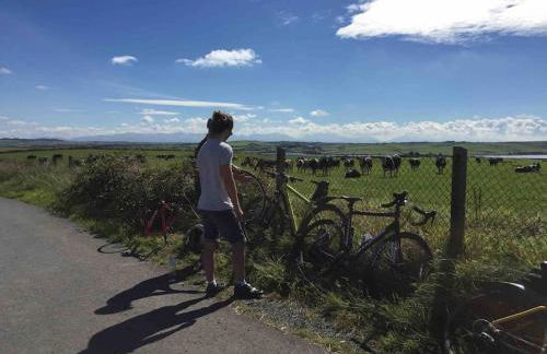 Gors Eilian - Photo 34