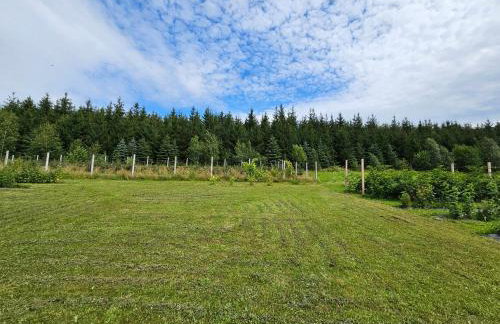 Apartament pod laskiem - Foto 18