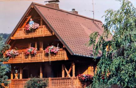 Stecher's Hüsli - Foto 32