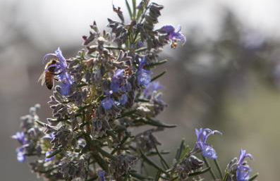 La Fondona - Foto 22