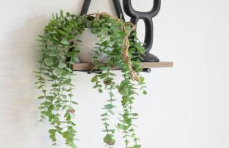 Spacious 6-Bedroom House with Parking in Bridgwater Ideal for Contractors & Group Stays - Foto 17