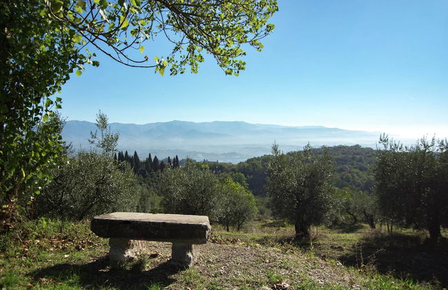 Lovely Estate not far From Florence With Olives Trees - Foto 60