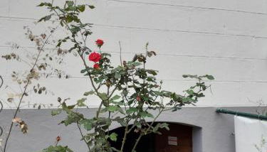 Anna´s Häuschen - Foto 3