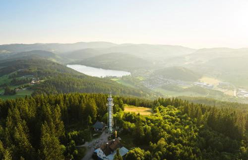 Ferienwohnung Passhöhe - Familien- Wander- und Skiurlaub - Hochschwarzwaldcard - Haus Wiesenquelle - Photo 43