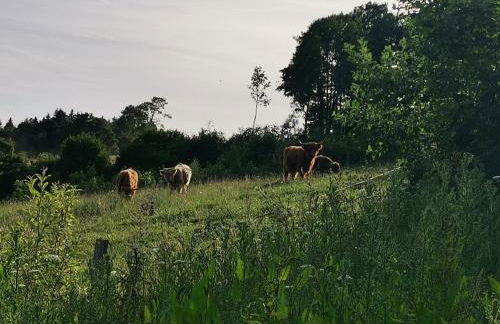 adBs Ferienhaus - Photo 15