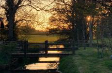 Malswick Mill - Photo 19