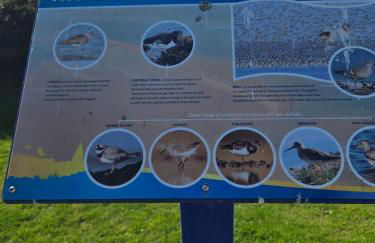 The Retreat LD 1A Oceans Edge - Foto 17