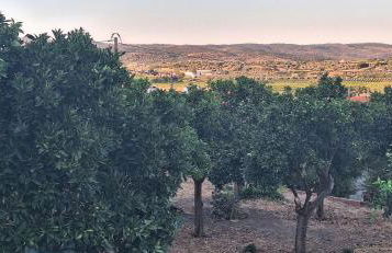 Casa Cor do Vinho - Foto 23