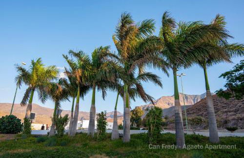 Can Fredy - Private Apartment Agaete - Foto 41