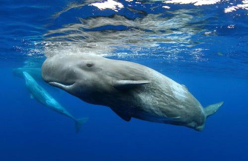 Val's Place - Photo 20