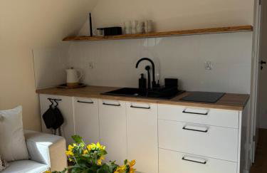 Oaza Pieniny - Photo 4