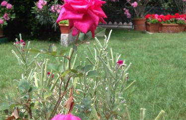 Casa Vacanze All'Orizzonte Duino - Foto 32