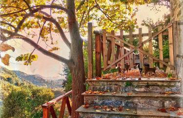 Archondiko Zafeiridi - Foto 15