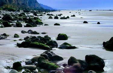 Charmante petite Villa sur Deauville Trouville-sur-Mer - Photo 43