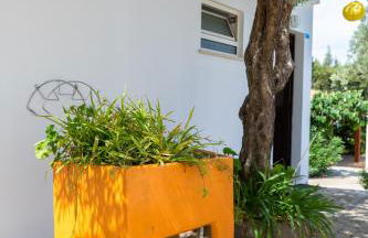 Apartamentos Flor da Laranja, Albufeira by AlgarveBlossom - Foto 50