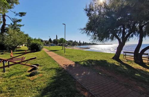 App Palčić K - Photo 12