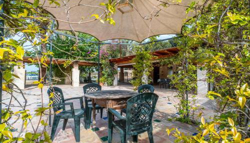 La Carrasca - Limón - Photo 4