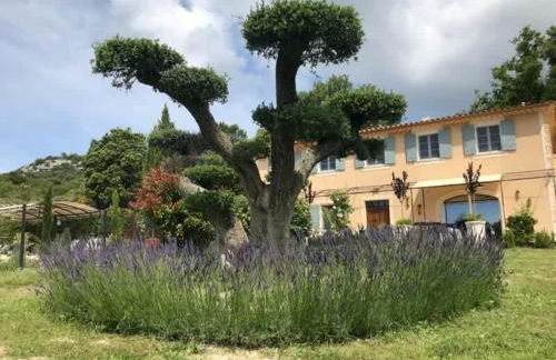 Bastide provençale à Murs, coeur du Lubéron - Foto 44