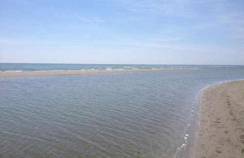 Il Piccolo Albero - Foto 32