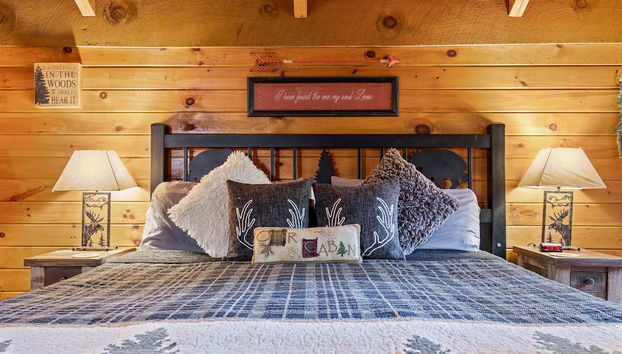 Bearly Beehaven - Foto 2, Habitación