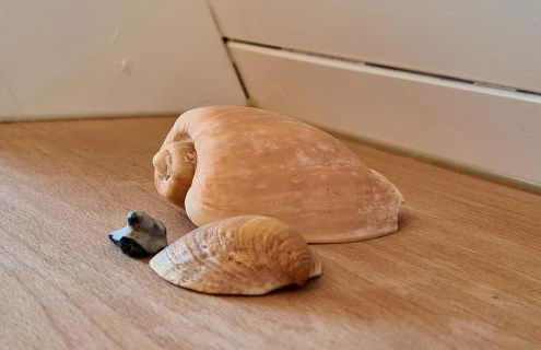 Ferienhaus Traumstrand - Foto 5