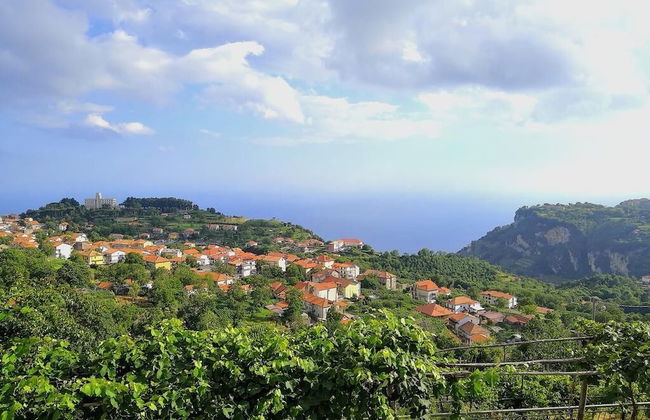 Agriturismo Il Castagno - Foto 16