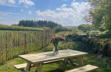 Emmetts on Exmoor - A West Country Wilderness - Foto 38