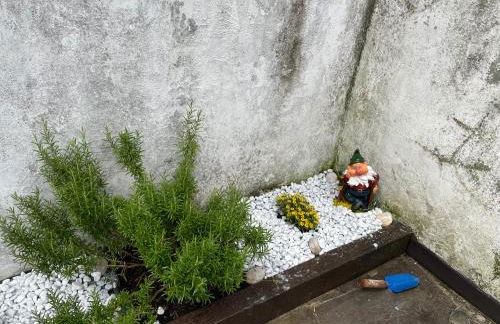 Appartamento Edelweiss - Foto 43