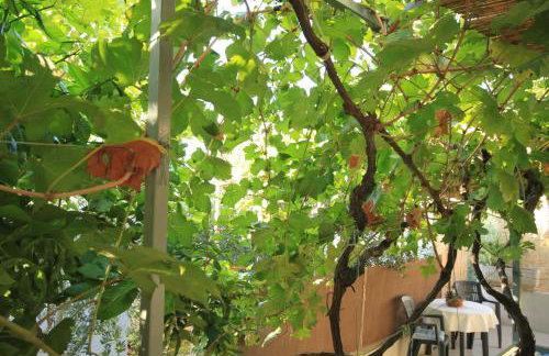 Apartments with parking space Rukavac, Vis - 8897 - Foto 25