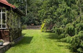 Pacałówka - Foto 13