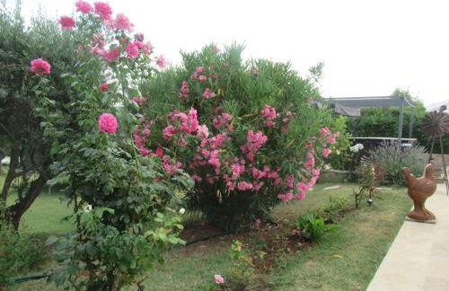 LE Cabanon des hirondelles - Foto 30