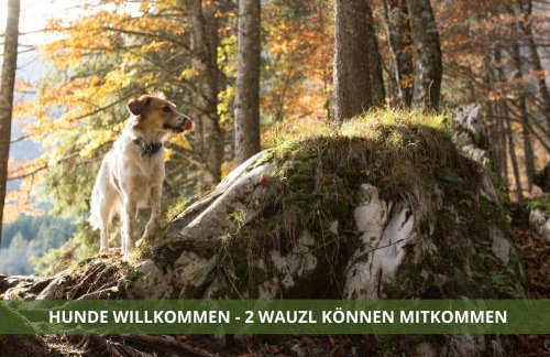 Die Fichtelsuite 1-6 Pers Ferienwohnung nahe Ochsenkopf Süd 800m in Fleckl - Foto 9