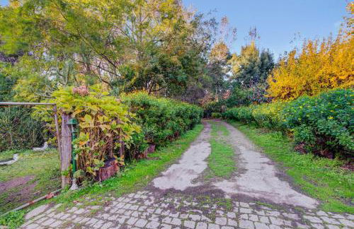 Casa do Moinho Rural campo e praia , 9 pessoas, animais benvindos - Foto 6