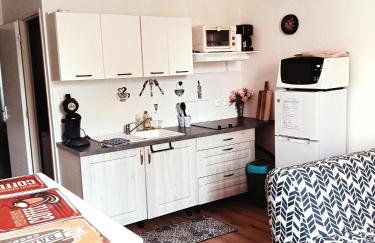 T2 Cosy, agréable fonctionnel et douillet, 1 lit 140 et un BZ , Wifi gratuit, boîte à clés, proche commerces et gare routière, - Foto 1