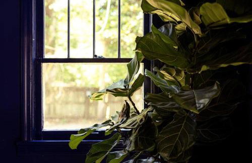 The Peacock - Artsy East Hill Getaway - Foto 8