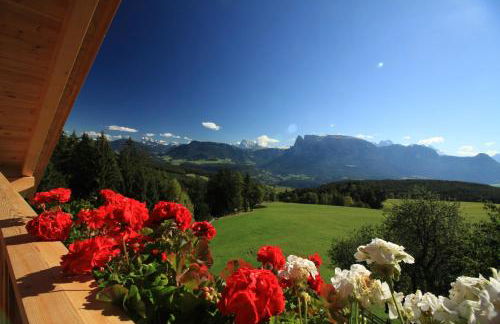 Unterpfaffstall-Hof - Foto 69