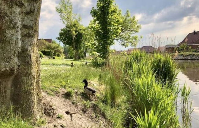 Henny Modern Retreat - Foto 19