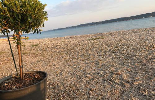 APARTMANI LIVK - Foto 4