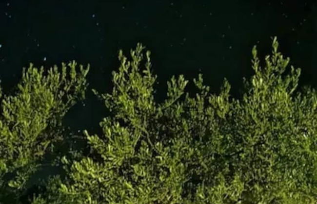 Lovely Cottage With sea Views in Selca, Croatia - Foto 49