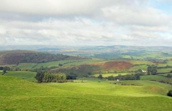 Drovers Retreat - Photo 82