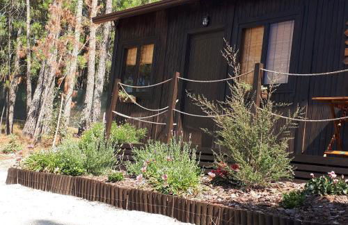 Casinha do Cedro - Foto 9