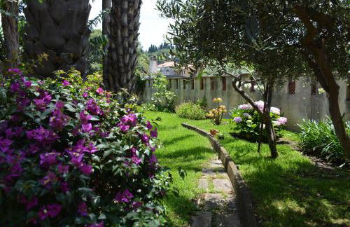 Triskelion - Foto 37