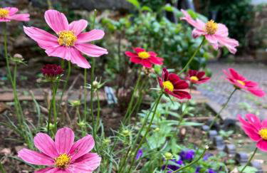 Beautiful Thatched Cottage with Piano - Foto 18
