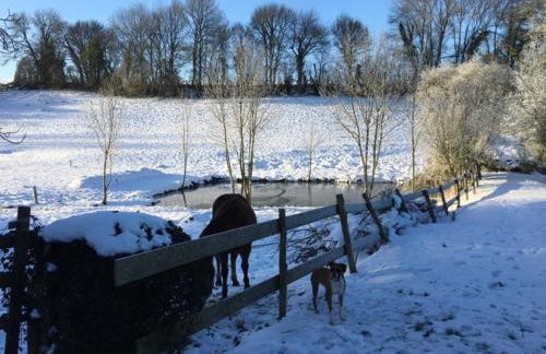 Gîte du banc de scie - Foto 54