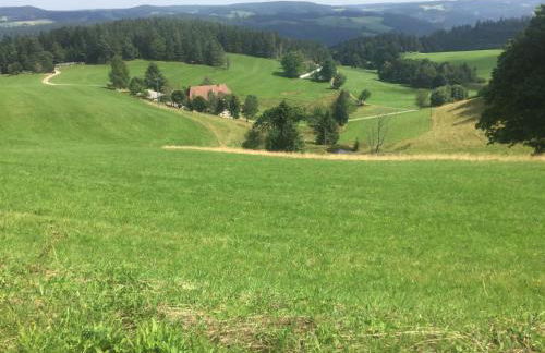 Im Salzgässle - Foto 18